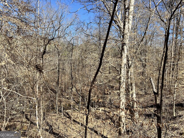 900 Sandy Cross Rd, Washington, GA 30673