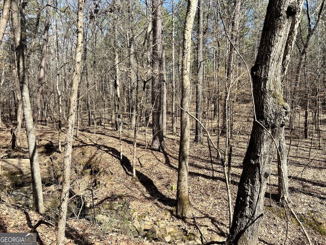 900 Sandy Cross Rd, Washington, GA 30673