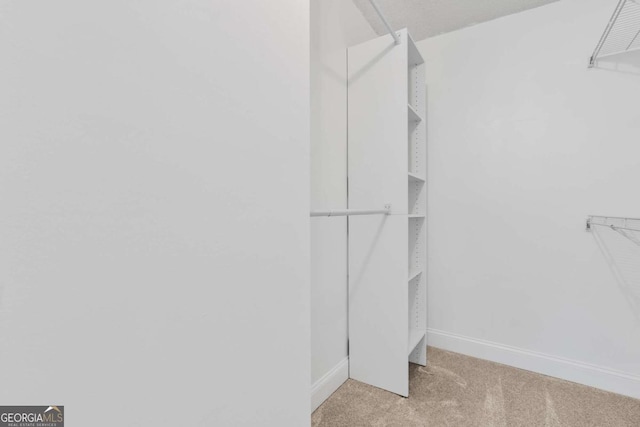 spacious closet featuring light carpet