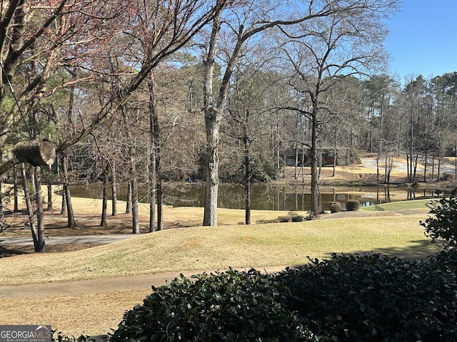 view of property's community with a lawn