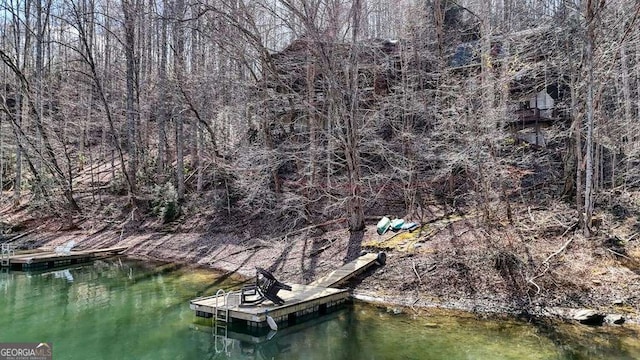 dock area with a water view and a forest view