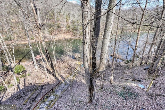 view of local wilderness featuring a wooded view