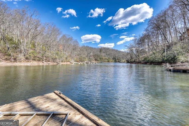 dock area with a water view and a view of trees