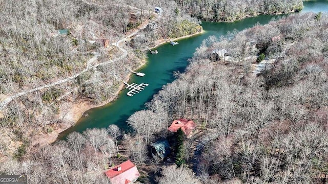 drone / aerial view with a water view and a view of trees