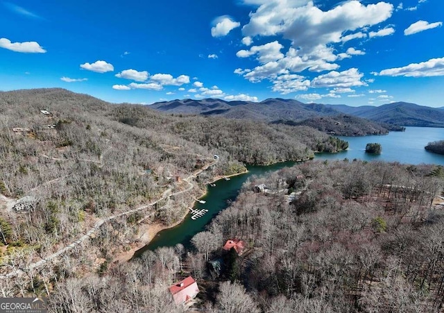 bird's eye view featuring a wooded view and a water and mountain view