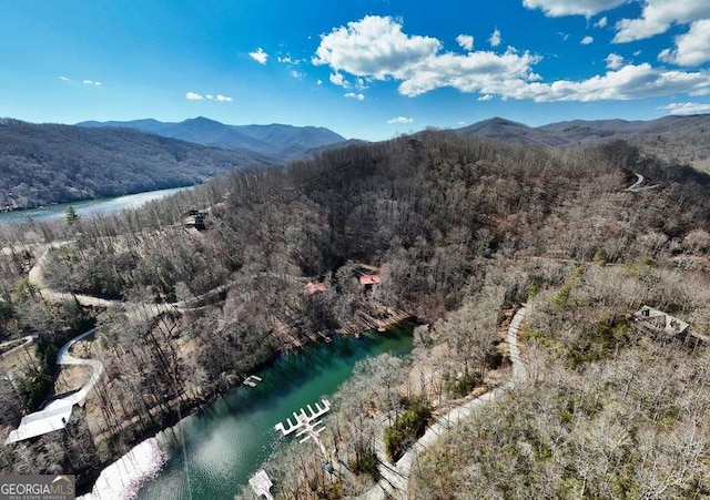 birds eye view of property with a wooded view and a water and mountain view