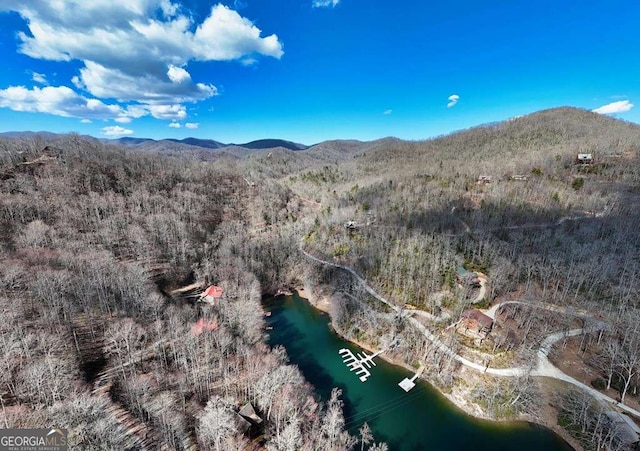 birds eye view of property featuring a view of trees and a water and mountain view