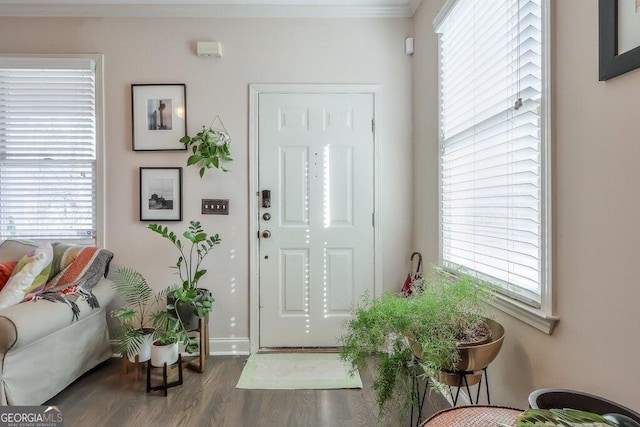 foyer with wood finished floors, a wealth of natural light, and baseboards