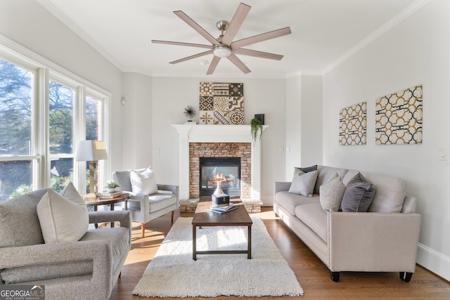 living room featuring a ceiling fan, a fireplace, crown molding, and wood finished floors