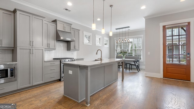 kitchen featuring visible vents, stainless steel appliances, gray cabinets, under cabinet range hood, and a sink