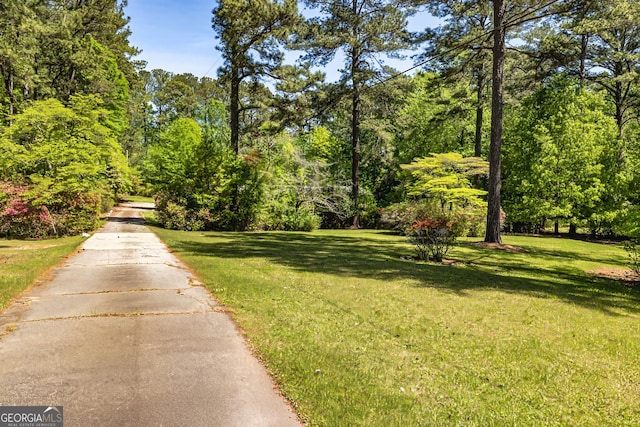 view of property's community featuring a yard