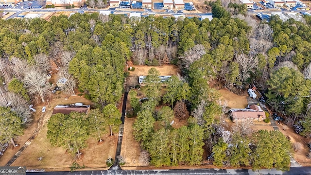 bird's eye view