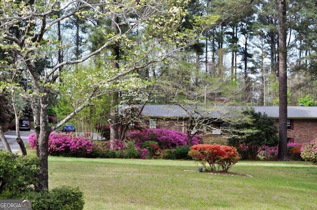 view of front of home with a front yard