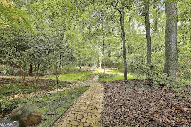 view of property's community with a view of trees