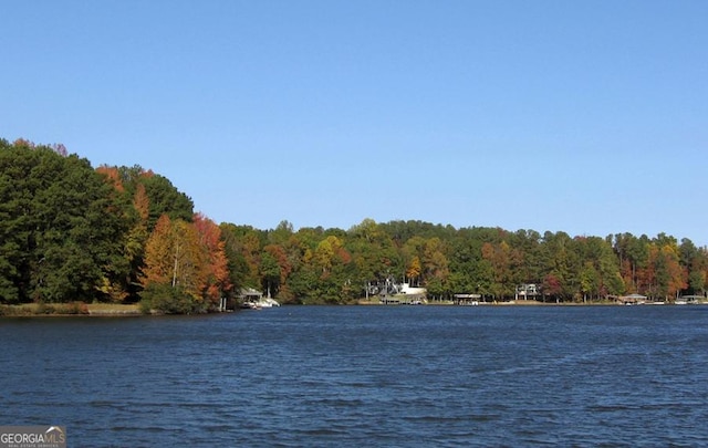 view of water feature with a view of trees