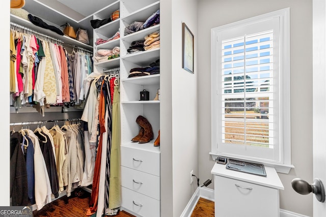 view of walk in closet