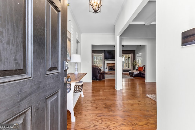 foyer featuring ornamental molding, a fireplace, wood finished floors, and an inviting chandelier