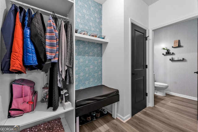 walk in closet featuring wood finished floors