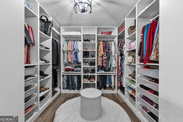 spacious closet featuring wood finished floors