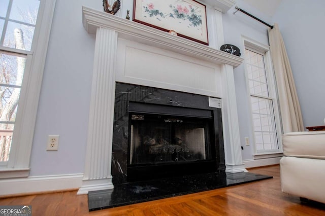 room details featuring a fireplace, baseboards, and wood finished floors