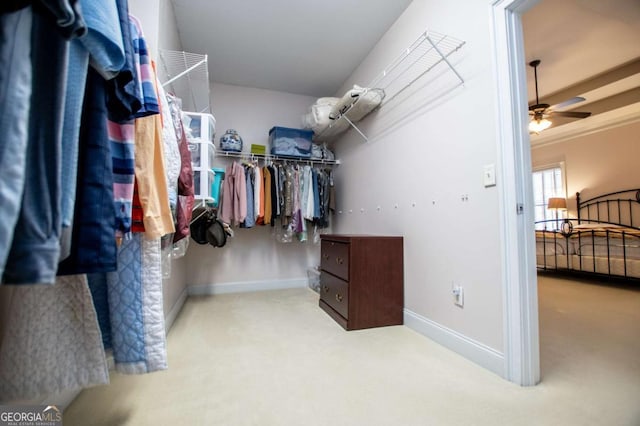 walk in closet featuring carpet floors and ceiling fan