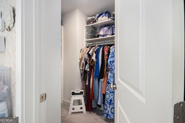 spacious closet featuring carpet flooring