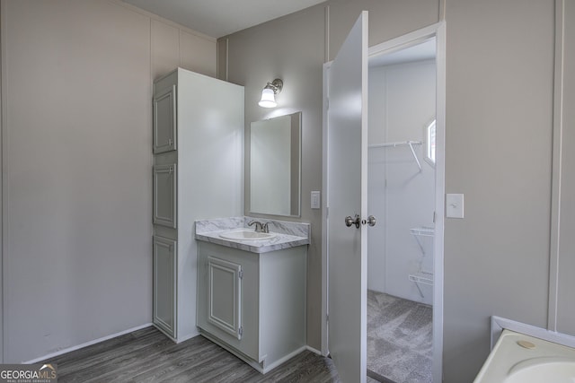 bathroom with a walk in closet, wood finished floors, and vanity