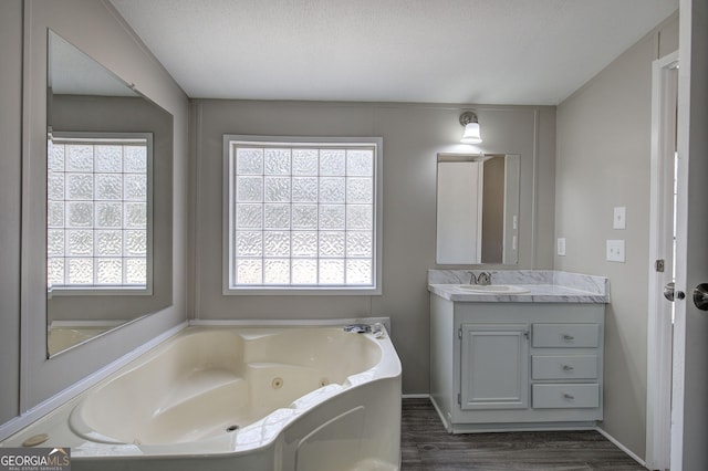 bathroom featuring vanity, plenty of natural light, wood finished floors, and a whirlpool tub