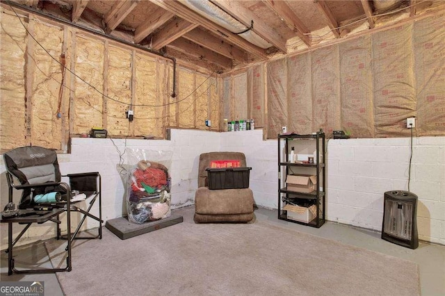 unfinished basement featuring concrete block wall