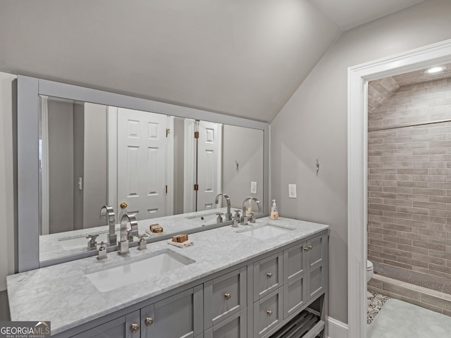 full bathroom featuring a sink, toilet, and double vanity