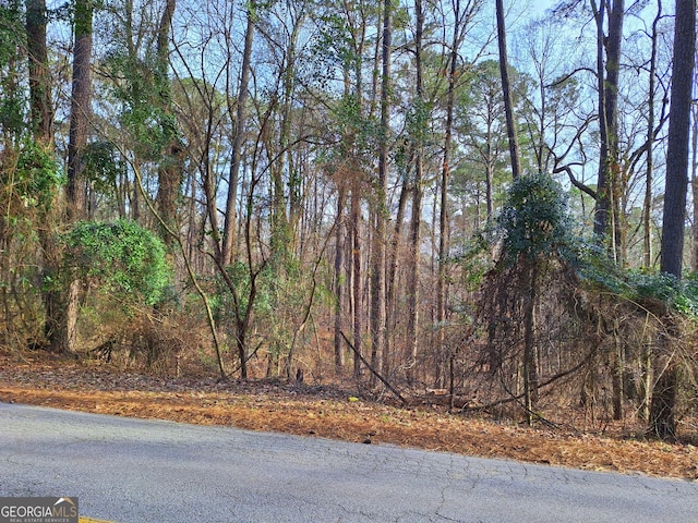 Listing photo 2 for LOT20 Cardinal Dr, Monticello GA 31064