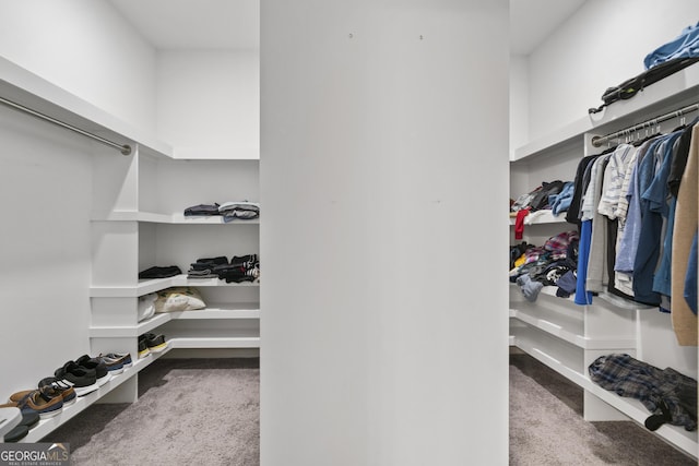 spacious closet featuring carpet floors