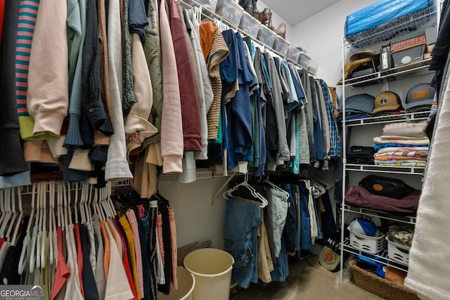 view of spacious closet