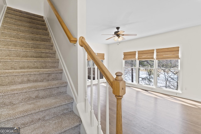 stairs featuring ceiling fan, baseboards, and wood finished floors