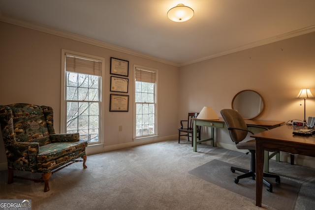 carpeted office featuring baseboards and ornamental molding