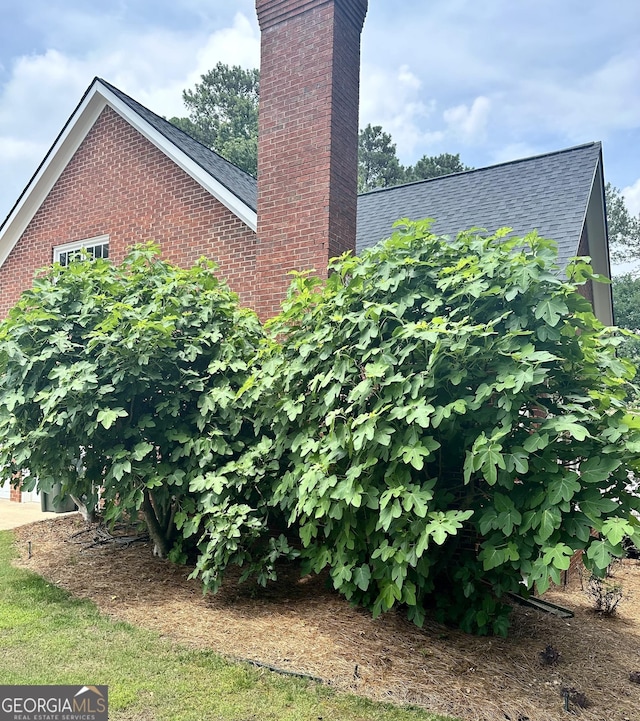 view of side of property featuring roof with shingles and a chimney