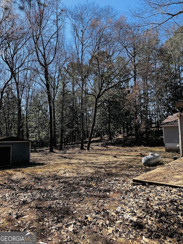 view of yard with an outdoor structure