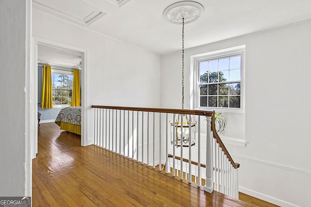 corridor featuring ornamental molding, wood-type flooring, and baseboards