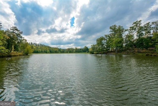 view of water feature with a wooded view