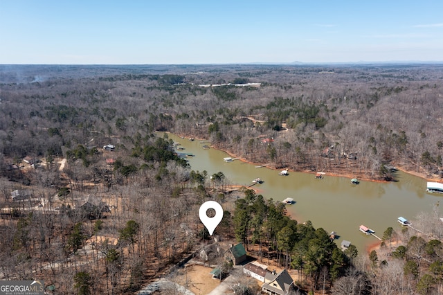 aerial view with a water view and a view of trees