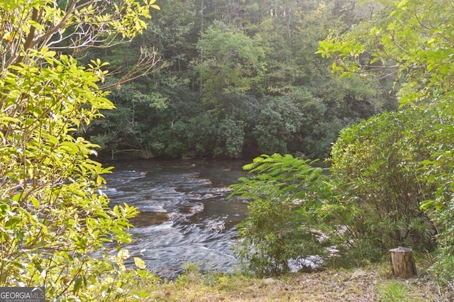 view of local wilderness with a wooded view