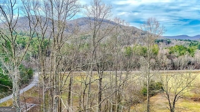 Listing photo 3 for 00 Owltown Rd, Blairsville GA 30512