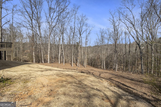 view of yard featuring dirt driveway and a view of trees