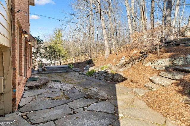 view of yard featuring a patio