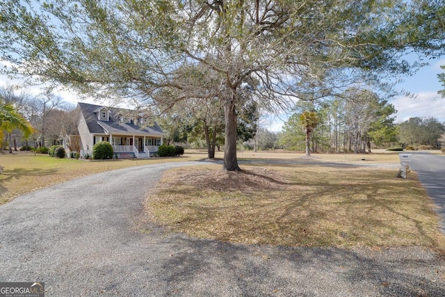 view of street with driveway