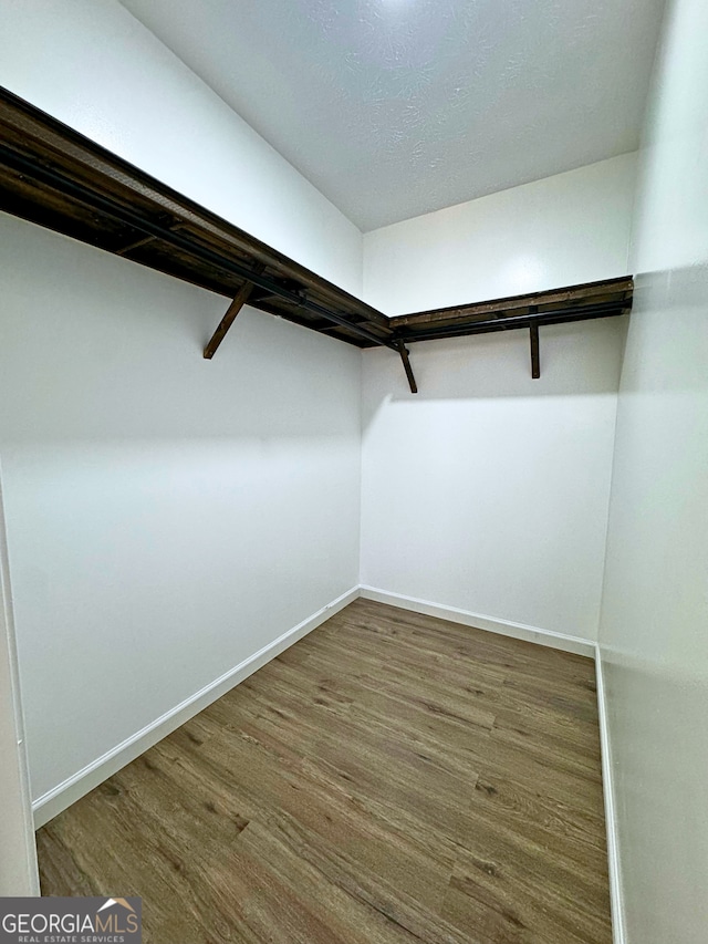 spacious closet featuring wood finished floors