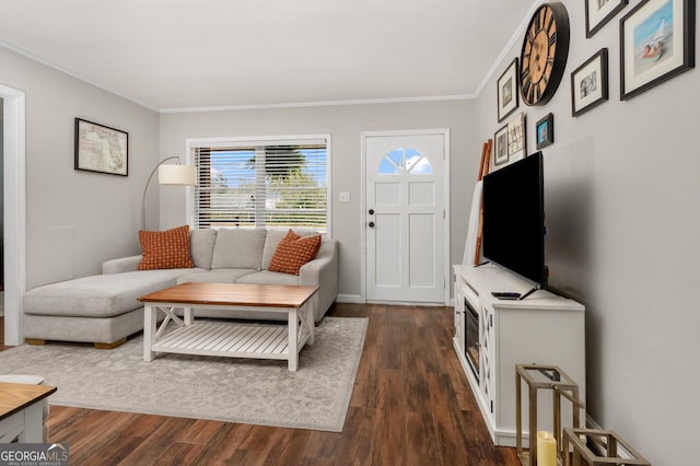 living area with ornamental molding and dark wood-type flooring