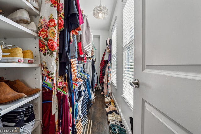 walk in closet featuring wood finished floors