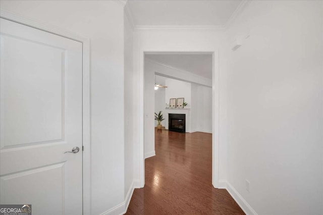 hallway with baseboards, dark wood-type flooring, and crown molding