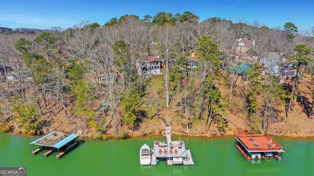 bird's eye view featuring a water view and a wooded view